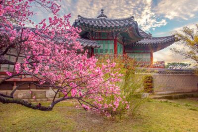 Seoul: Gyeongbok Palace and Bukchon Hanok Walking Tour - Gyeongbokgung Palace and the Royal Guard Changing Ceremony