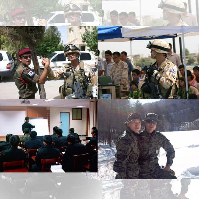 Seoul: Half-Day DMZ Tour Led by a Retired Military Officer - Key highlights to know before you go