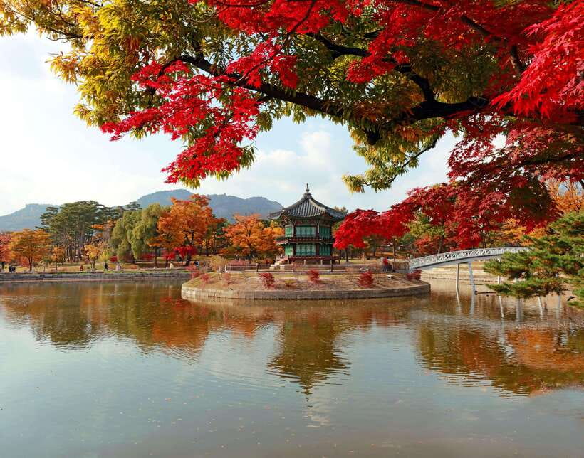 Seoul Highlights: Gyeongbok Palace, Insadong & N Seoul Tower - Key highlights I’d circle first