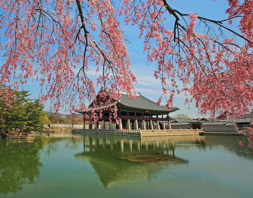 Seoul Highlights: Gyeongbok Palace, Insadong & N Seoul Tower - Jogyesa Temple + Changing of the Guard: the day’s best “start here” energy