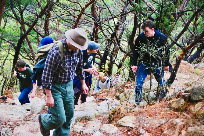 Seoul Mountain Hike: Temples, Folklore & Traditional Meal - Logistics that affect your comfort (and how to plan)