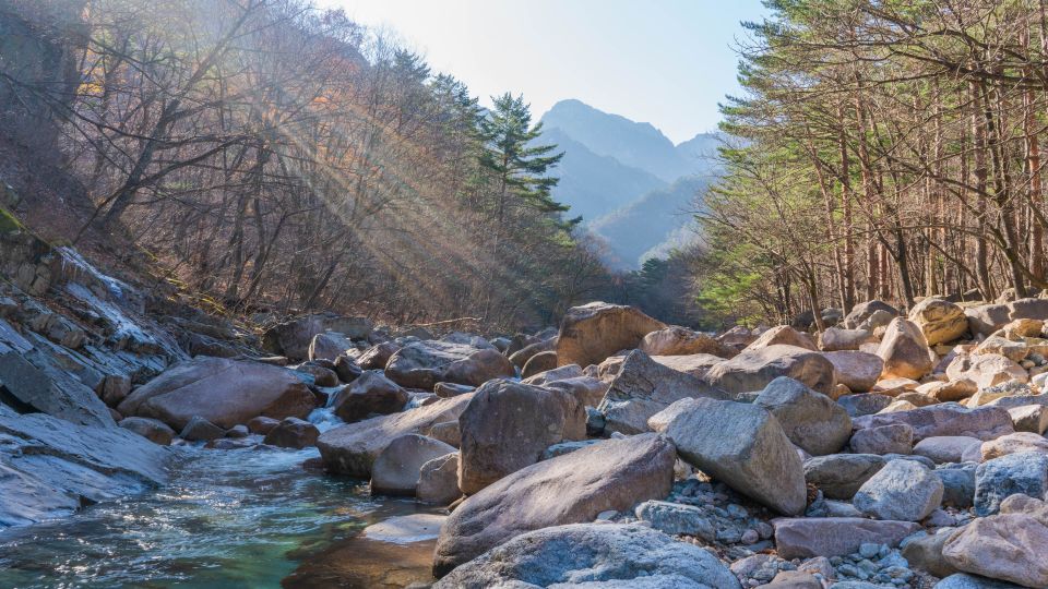 Seoul: Mt Seorak + Naksansa Temple or Nami Island Group Tour - Key Points You’ll Actually Care About