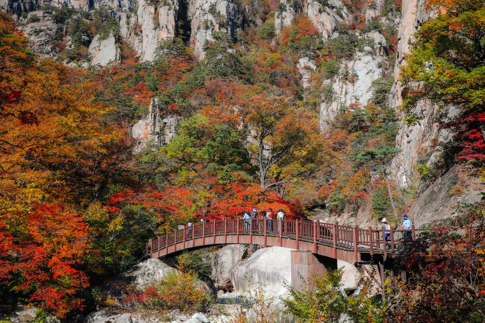 Seoul: Mt Seorak + Naksansa Temple or Nami Island Group Tour - Coach Comfort and Timing: The Part That Makes or Breaks the Day