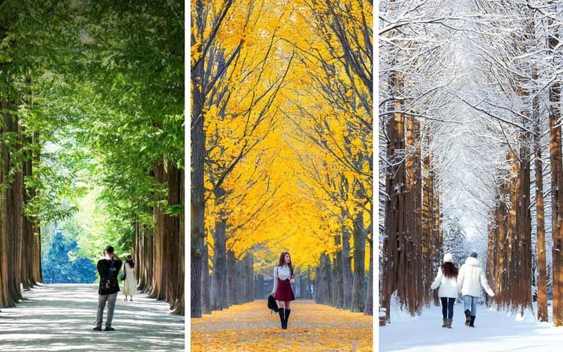 Seoul: Mt. Seorak & Nami Island & Eobi Ice Valley Day Tour - What you’ll likely do at each stop (and what to watch for)