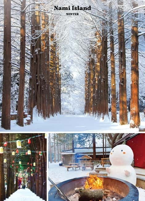 Seoul: Mt. Seorak & Nami Island & Eobi Ice Valley Day Tour - The Seoul coach ride: when you should plan to be ready