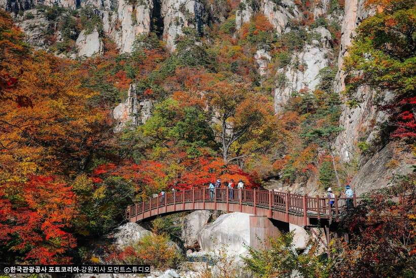 Seoul: Mt.Seorak, Nami Island, No Shopping(+RailBike Option) - Key Things I Think You Should Know First
