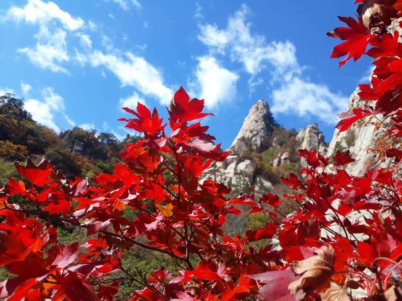 Seoul: Mt.Seorak, Nami Island, No Shopping(+RailBike Option) - How This 14-Hour Day Trip Works From Seoul