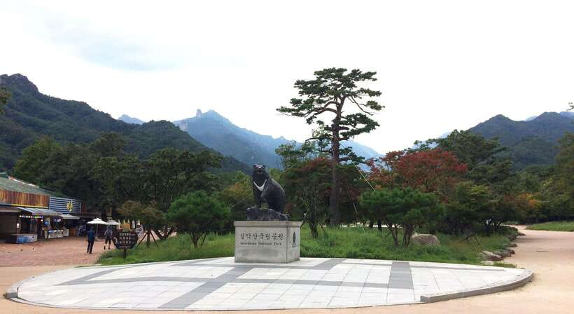 Seoul: Mt.Seorak, Nami Island, No Shopping(+RailBike Option) - The Nami Island Break: Ferry First, Then Trees and River Calm