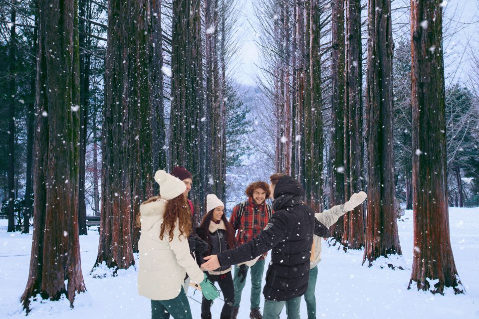 Seoul: Nami and Petite France Tour with Optional K-Garden - FAQ