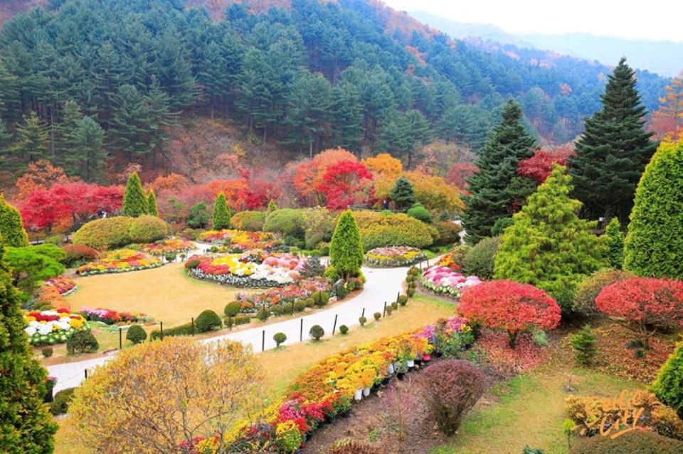 Seoul: Nami and Petite France Tour with Optional K-Garden - Nami Island: Ferry, Trees, and Choose-Your-Own Pace