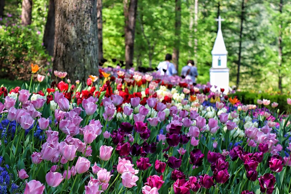 Seoul: Nami and Petite France Tour with Optional K-Garden - Price and What’s Included at $50 (and What You Still Need to Pay)