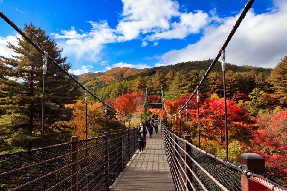 Seoul: Nami and Petite France Tour with Optional K-Garden - Who Should Book This Tour (and Who Might Not Love It)