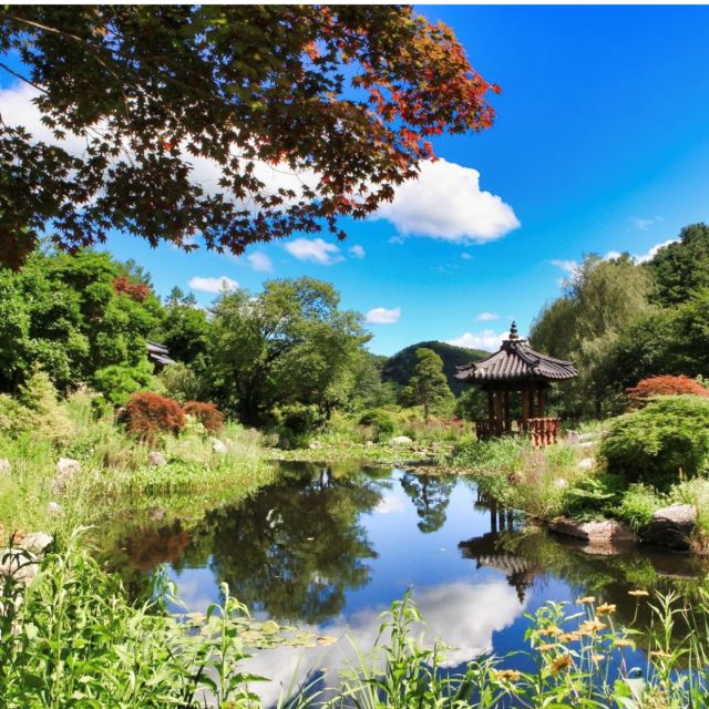 Seoul: Nami and Petite France Tour with Optional K-Garden - Final Verdict: Should You Book?