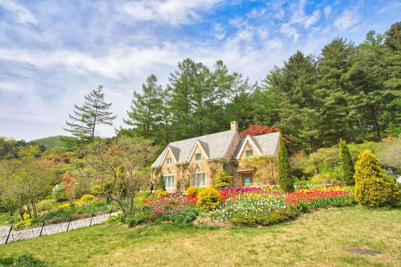 Seoul: Nami Island and Garden of Morning Calm opt Railbike - Key highlights worth planning around