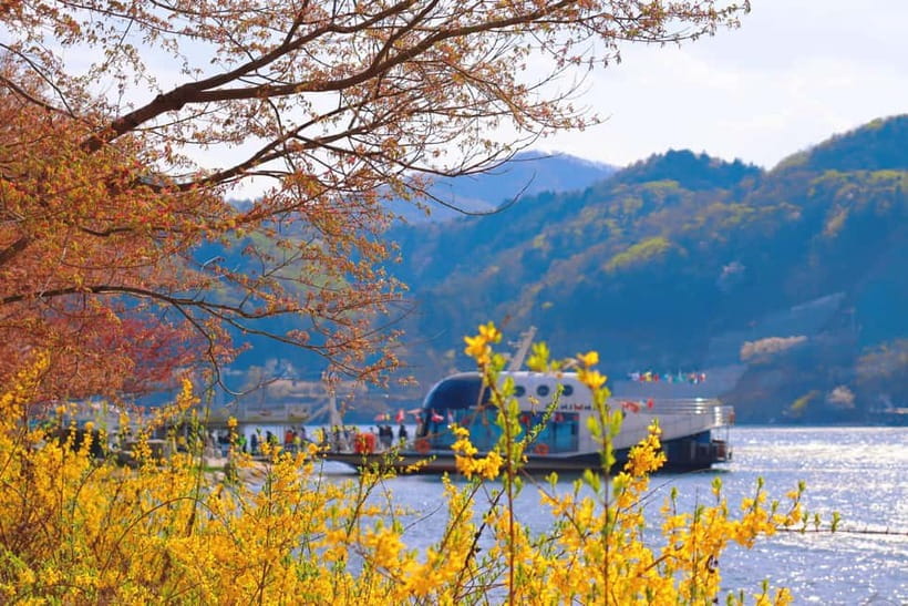 Seoul: Nami Island and Garden of Morning Calm opt Railbike - Leaving Seoul With a Real Plan and Room to Breathe