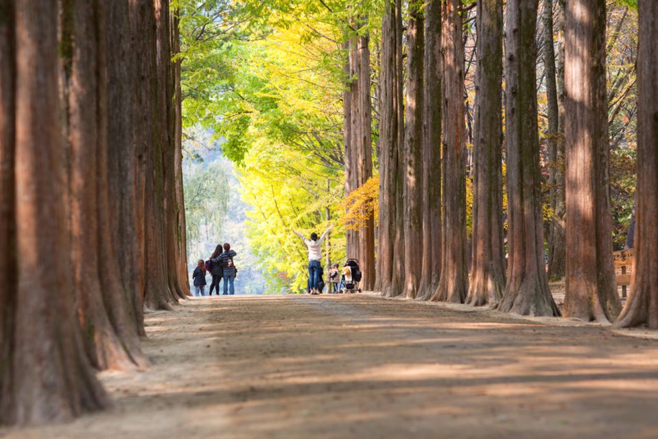 Seoul: Nami Island, Garden and Petite France (opt. Railbike) - Who this trip suits best (and who should pick something else)