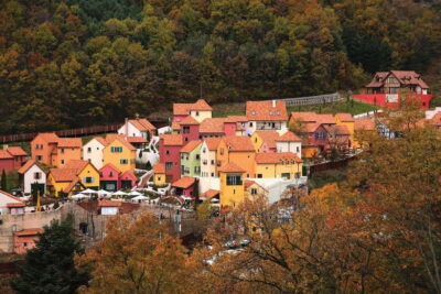 Seoul: Nami Island, Garden and Petite France (opt. Railbike) - Garden of Morning Calm: your first stop for calm, photos, and seasonal sparkle