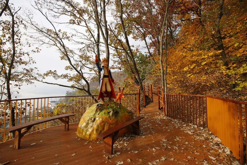 Seoul: Nami Island, Garden and Petite France (opt. Railbike) - Price and value: what you actually get for about $83