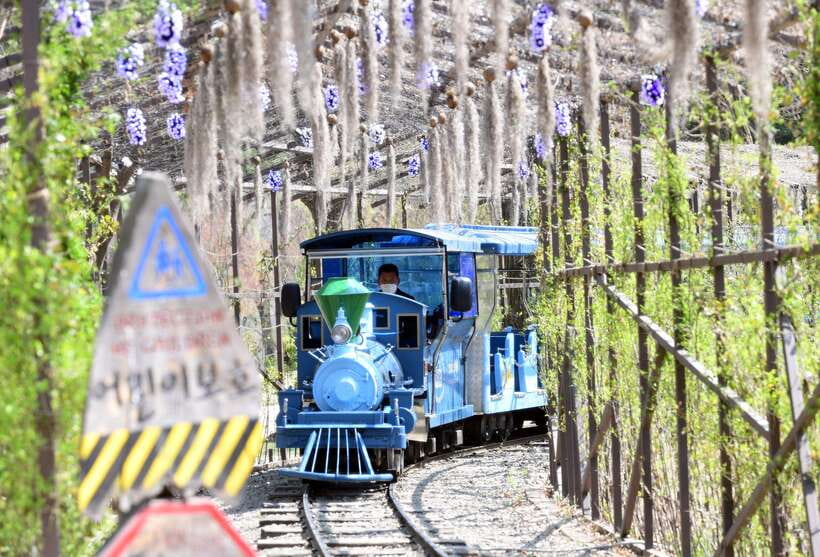 Seoul: Nami Island & Petite France Tour with Railbike Option - Who should book this tour, and who might skip it