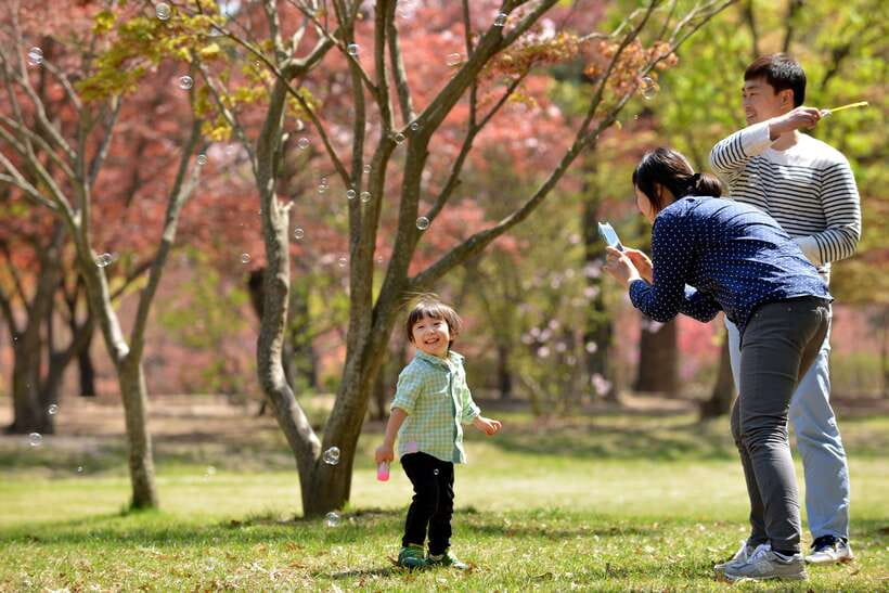 Seoul: Nami Island & Petite France Tour with Railbike Option - Why this Seoul day trip feels different than the usual package