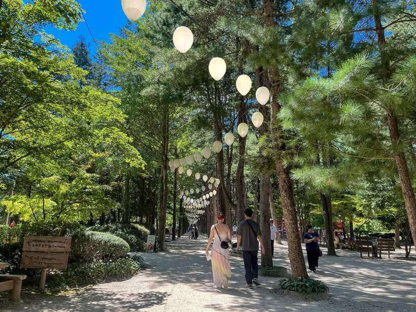 Seoul: Nami Island & Petite France Tour with Railbike Option - Petite France: colorful streets, drama filming vibes, and quick photo routes