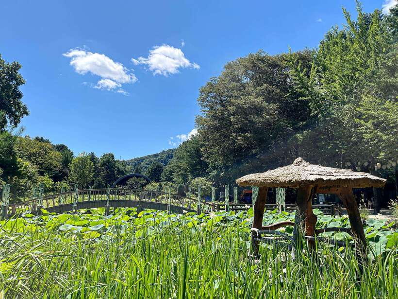 Seoul: Nami Island & Petite France Tour with Railbike Option - The flow of the day: time on buses vs time where it counts