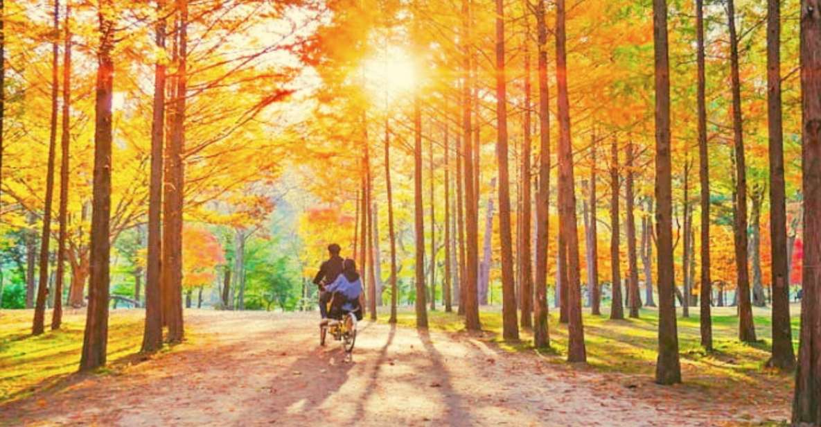 Seoul: Nami, Petite France, Italian Village, Railbike Option - FAQ