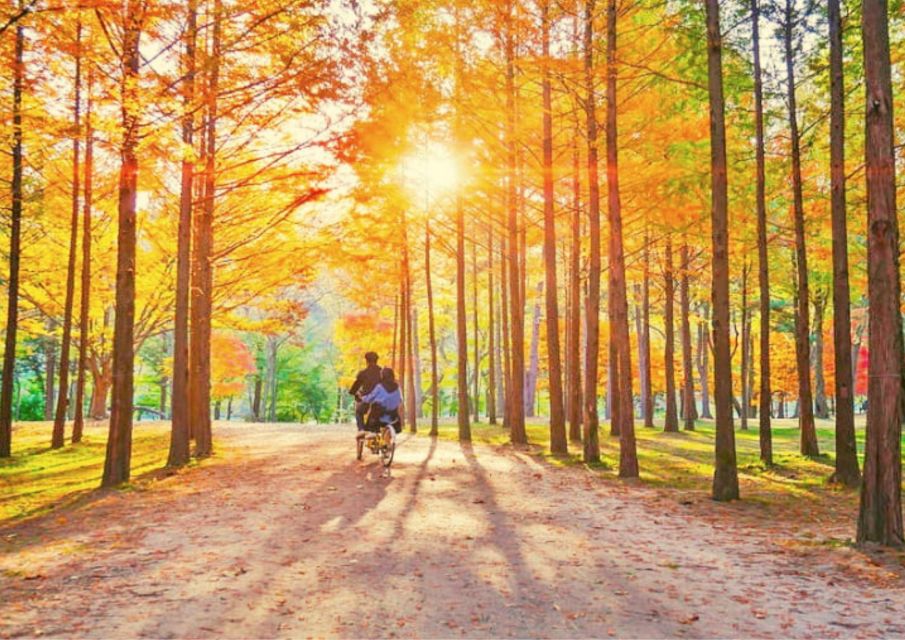 Seoul: Nami, Petite France, Italian Village, Railbike Option - Petite France and Italian Village: a fast passport to themed Europe