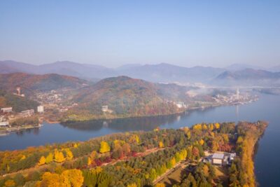 Seoul: Nami, Petite France, Italian Village, Railbike Option - Nami Island: K-drama walking paths, animals, and that ferry feel