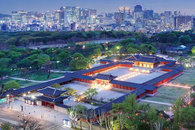 Seoul Night Tour (Gwangjang Market, Royal Palace and Naksan Park) - Naksan Park and the Seoul City Wall: lighted views plus a bit of effort