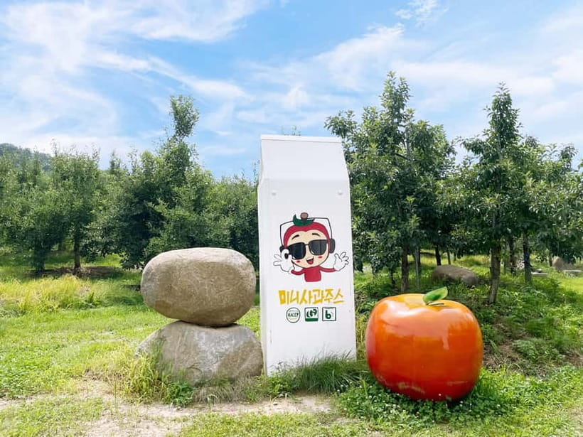 Seoul: Pocheon Art Valley, Garden and Fruit Picking Day Tour - Price and value: why $77 can work for a one-day combo