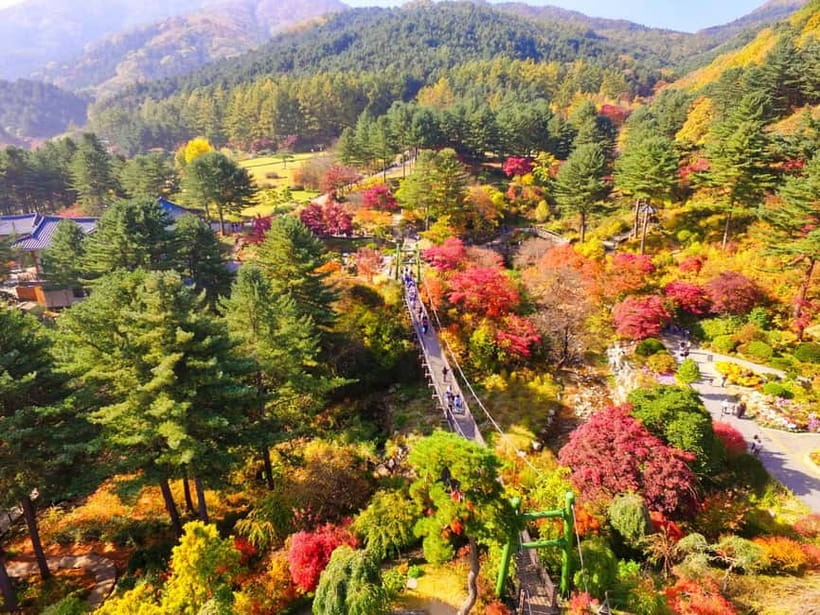 Seoul: Pocheon Art Valley, Garden and Fruit Picking Day Tour - The day schedule: long drive, but you do get real time at each stop
