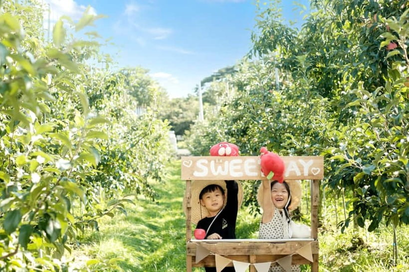 Seoul: Pocheon Art Valley, Garden and Fruit Picking Day Tour - Guides and language: you’ll be understood, and that changes the vibe