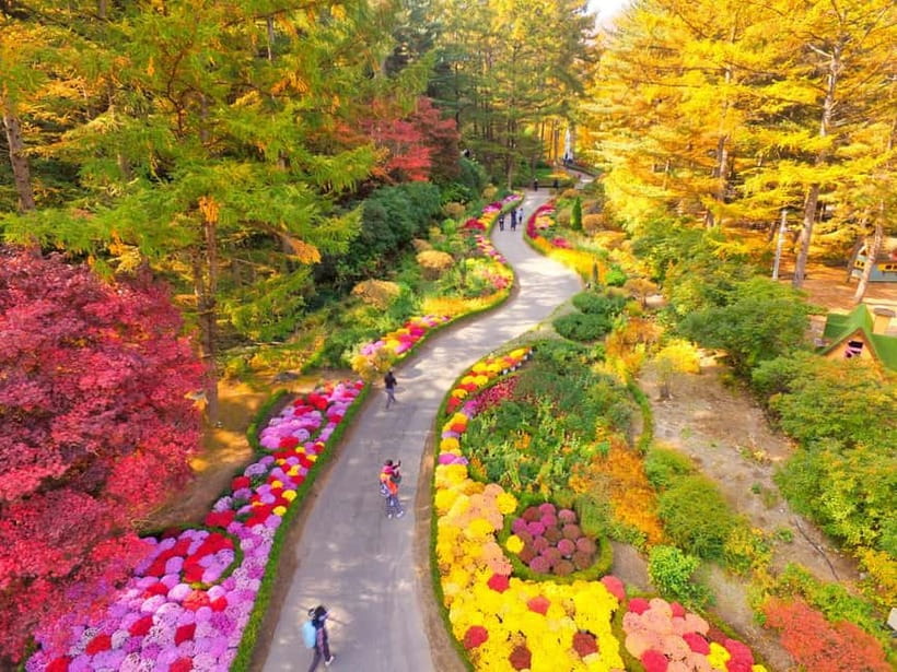 Seoul: Pocheon Art Valley, Garden and Fruit Picking Day Tour - Weather and crowds: plan for the day to change, not ruin itself