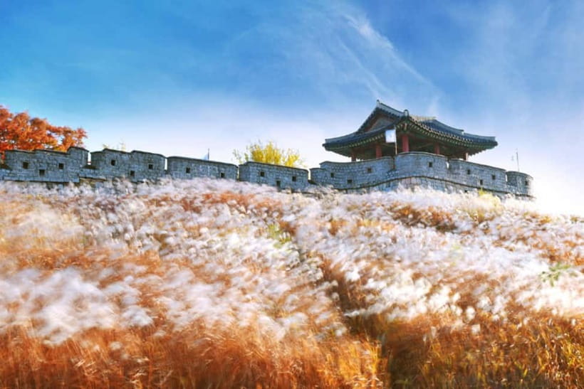 Seoul: Suwon Hwaseong Fortress & Korean Folk Village Tour - Who Should Book This Tour, and Who Should Skip It?