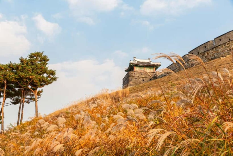 Seoul: Suwon Hwaseong Fortress & Korean Folk Village Tour - Korean Folk Village: Photo Moments, Performances, and Daily-Life Sets