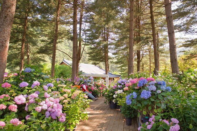 Seoul Vicinity 5 in 1: Nami Island, Garden of Morning Calm & More - Why This Seoul 5-in-1 Day Works When You Hate Subways
