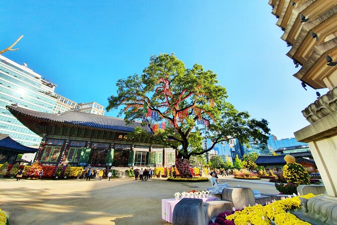 Small-Group Royal Palace and Seoul City Tour (hotel pick-up) - A pause for the Blue House: seeing Cheong Wa Dae from outside