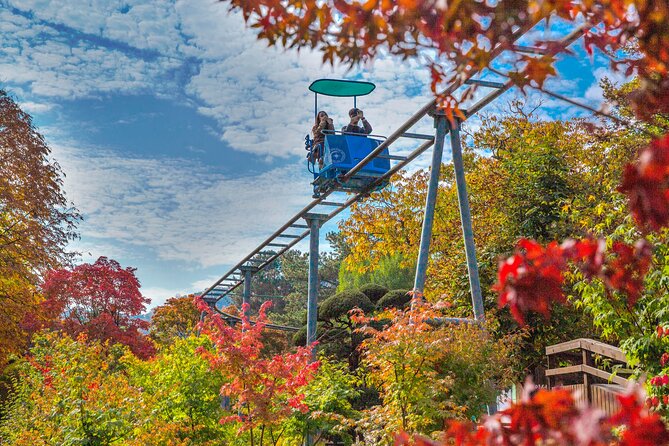 Special Private Tour Nami Island, Rail Bike, Petite France - Gangchon Rail Bike: the zelkova tunnel and 30m bridge ride