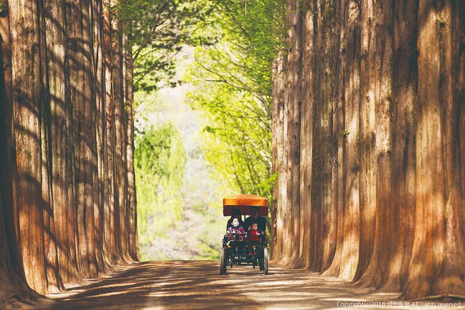 Special Private Tour Nami Island, Rail Bike, Petite France - Timing tips to dodge crowds and keep the day smooth