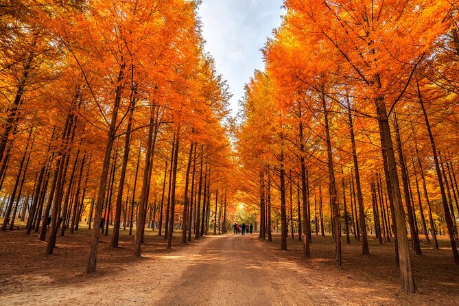 Trip to Nami Island with Petite France & Italian Village, Garden of Morning Calm - Price and Logistics: What $78.10 Actually Buys You