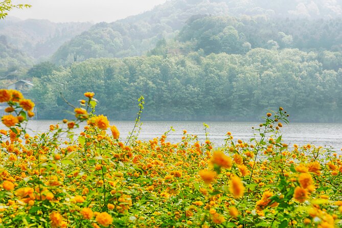 Trip to Nami Island with Petite France & Italian Village, Garden of Morning Calm - The Guide Makes the Day: Staying Together Without Feeling Rushed