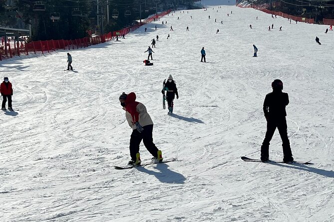 Yongpyong Ski Resort from Seoul with Optional Lesson and Packages - Essential Package: 30 minutes that can change your whole day